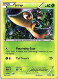 2011 - Pokémon TCG - Snivy - Black and White Promos - BW06 - MP - Holo - Pack Daddies Card Co