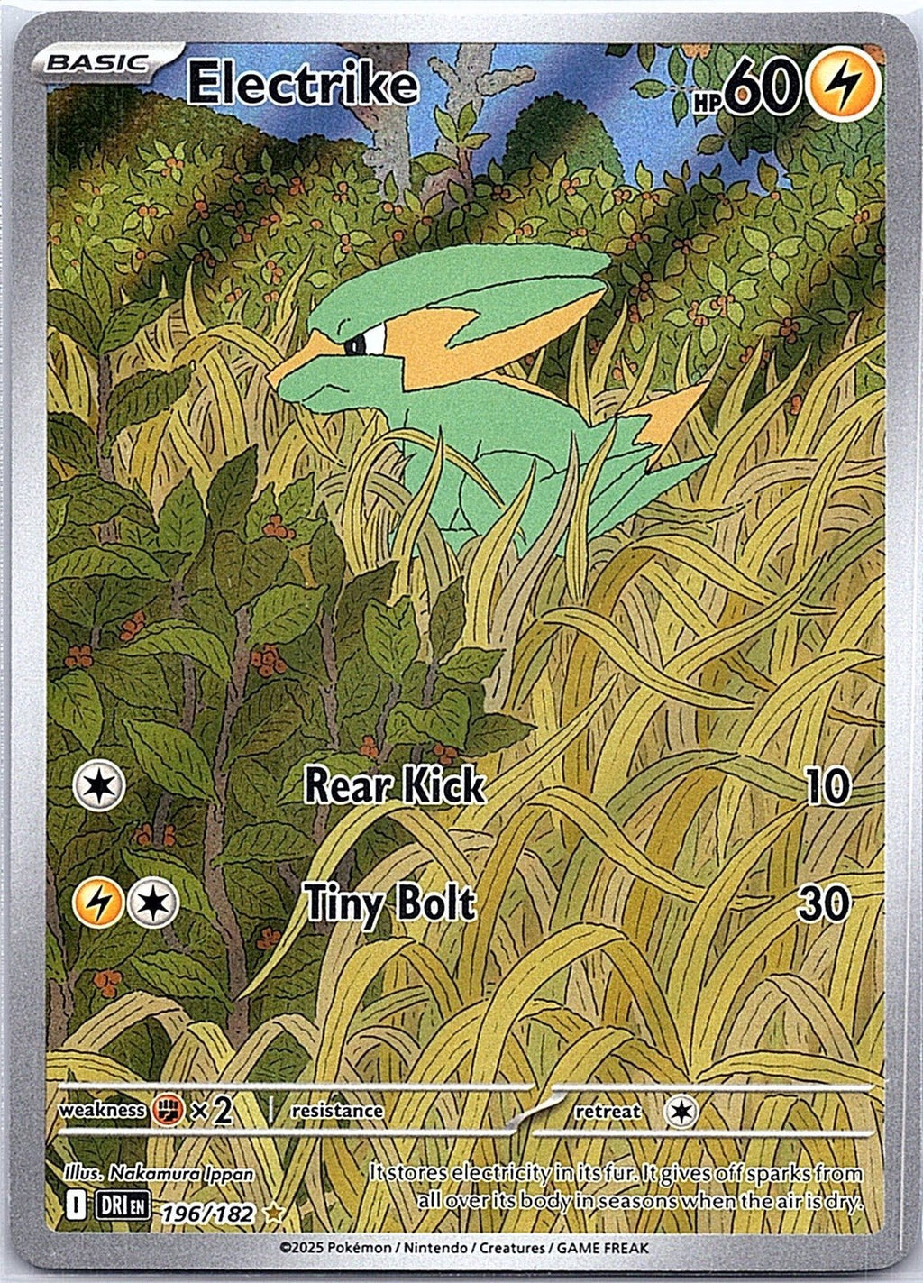 2025 - Pokémon TCG - Electrike - SV10: Destined Rivals - 196/182 - NM - Pack Daddies Card Co